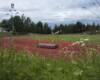 Kuva: img_20250627_182928