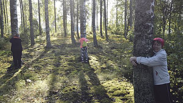 Aistipolun rastit Kokonniemessä kehottavat liikkumisen lisäksi herättämään tunto-,...