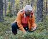 - Muistan, kuinka lapsena metsään mentiin porukalla ja...