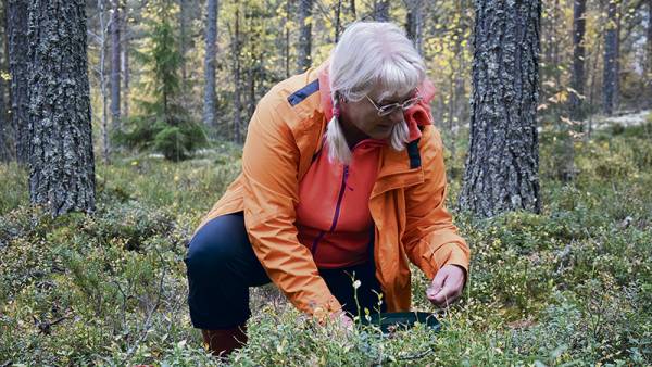 - Muistan, kuinka lapsena metsään mentiin porukalla ja...