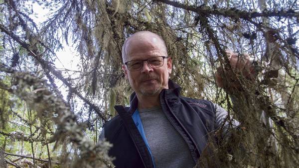 Jukka Ruukki ihastelee Sysipatterin maastossa puita, joissa kasvaa...