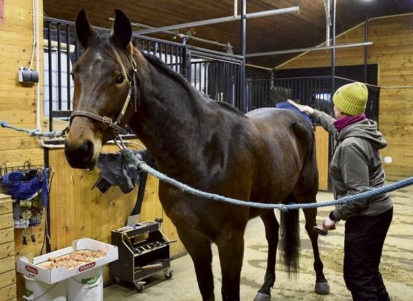 Omalaatuinen, itsetietoinen, mutta kauhean helppo, kuvailevat Jouni Hakkinen...