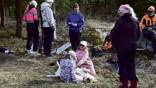 Nihtilän tilan koirametsässä talkoiltiin parinkymmenen innokkaan voimin lauantaina...