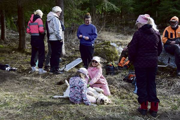 Nihtilän tilan koirametsässä talkoiltiin parinkymmenen innokkaan voimin lauantaina...