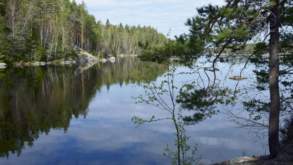 Isojärven kansallispuisto sekä Päijänne ja muut vesistöt ovat...